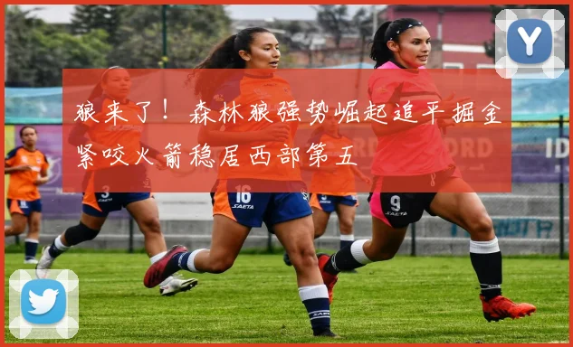 狼来了！森林狼强势崛起追平掘金紧咬火箭稳居西部第五