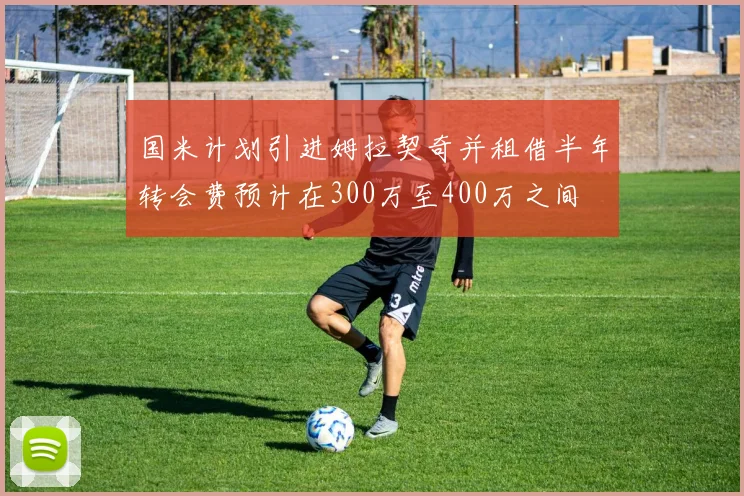 国米计划引进姆拉契奇并租借半年转会费预计在300万至400万之间