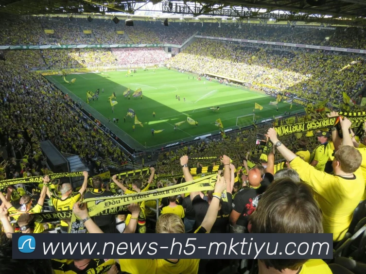 MK体育品牌故事